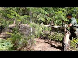 Constructing A Wildlife Observation Hide & Tips For Seeing Wildlife