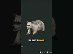 The Most TRAGIC WAY to RUIN a Gold Rare! #thehuntercotw #cotwgameplay #cotw