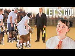 We Took the Herd to the Show – and I Can't Believe Who Won!
