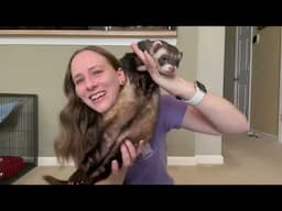 Health update | Pet Insurance | Baby Turtle