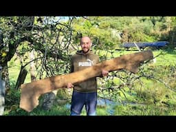 Beginning new homestead projects & new hobbies
