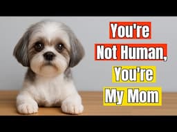 Your Dog Doesn’t Recognize You as Human -  The Truth Is Emotional!