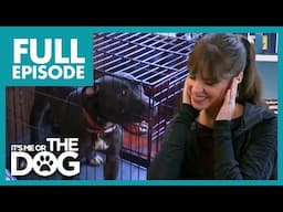 Husband's Hearing Loss From Non-Stop Barking Dogs! | Full Episode | It's Me or The Dog