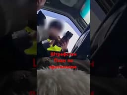 План по протоколам