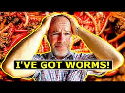 Will it Work? Worm Farming with African Nightcrawlers!