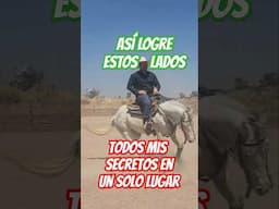 Lo que marco la diferencia al enseñar los lados o spins. ¡Todo en un solo lugar!