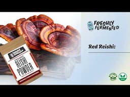 Elevate Your Health with Mushroom Powders – Easy Nutrition Boost for Every Day!