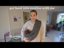 get back into routine with me *with a new puppy*