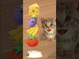 CAT NEED A FOOD