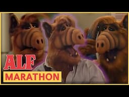 Top 10 IMDB Episodes | ALF | FULL Episode Marathon