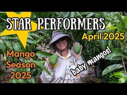 Star Performers | April 2025 Baby Mangos