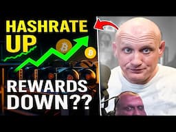 Hash Rate Is UP, Fees Are DOWN – The Mining Paradox Explained!