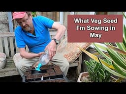 What Veg Seeds To Sow in May?