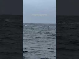long crossing can be hard on your mental state 🌊 sleep is little, your movements are restricted to