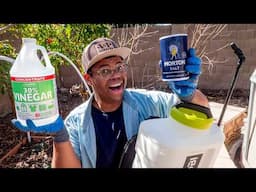 5 Garden Hacks for Spring 🪴🌸 | Problem Solved