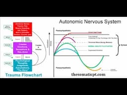 Ego Compensations on Top of Nervous System Activation