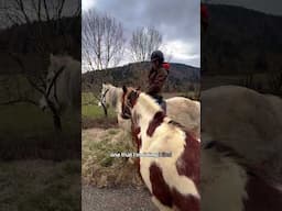 How to START Leading While Riding!