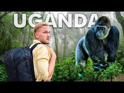 Nothing Prepared Us for This Wild Gorilla Trekking Disaster
