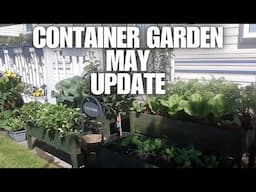 Container Gardening May Update [Container Gardening ]