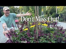 5 HUGE Impact Plants That Took Off FAST In My Garden || Visit Our Garden