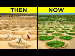 No-one Understood Why They Were Digging In The Sahara, Years Later The Result Was Unbelievable