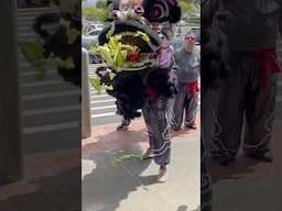 The Savage energetic lion blessing Walmart Mililani @hawaiiliondanceassn