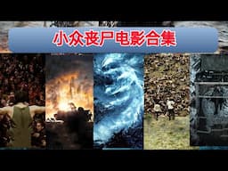 【阿奇】小众精彩丧尸电影合集，总有一部你没看过的