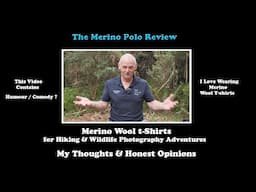 Hiking & Wildlife Photography: The merino polo T-shirt Review
