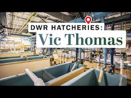 Vic Thomas Hatchery
