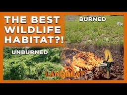 How To Create THE BEST Wildlife Habitat Through Prescribed Fire