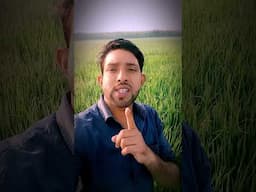 সবাই শুধু নিজের কথা ভাবে অন্যের কথা কেউ পাবে না। #shorts #viralvideo #viralshorts