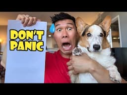 I Nearly Gave Up Today || Life After College: Ep. 798