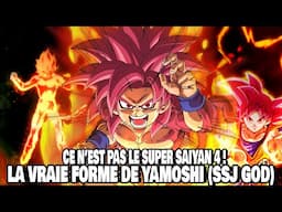CE N'EST PAS LE SUPER SAIYAN 4, MAIS LA VRAIE FORME DU SUPER GOD DE YAMOSHI - DRAGON BALL DAIMA 18