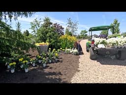 Thinning & Bagging Apples + Planting Hardy Geraniums & Colorful Annuals! 🍎🌿🌸