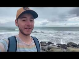 THE BEST BEACH FOR SEASHELLS IN AUSTRALIA! Beach Combing For Rare Awesome Shells With Friends!