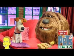Secret Life of Pets: Off the Leash Ride POV | Universal Studios Hollywood