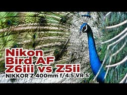 Nikon Bird Eye Tracking AF on Z6iii vs Z5ii