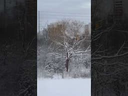 #snow