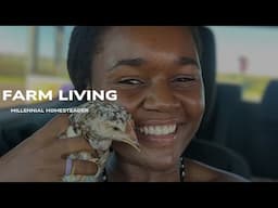 We are getting chickens | Road trip to Johannesburg | Millennial Homesteader