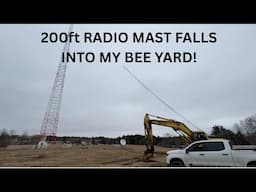 200 ft radio mast falls into my bee yard!