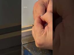 Another Day Another Tips