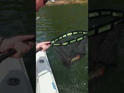 Lake Edildon is famous for.......