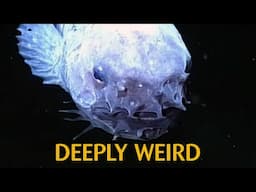 The Fish That Shouldn't Exist