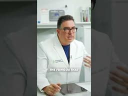 Can Cordyceps Infect Humans?