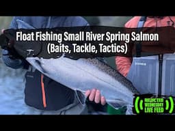 Float Fishing Small River Spring Salmon (Baits, Tackle, Tactics)