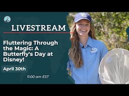Fluttering Through the Magic: A Butterfly's Day at Disney!