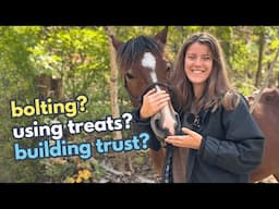Fixing Your Common Horse Problems! Horse Training Q&A