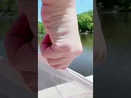The MUST HAVE Beach Bag of 2025! https://amzlink.to/az0PghRKDSWBq