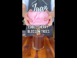 Cherry Blossom Tree
