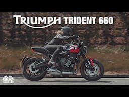 NEW Triumph Trident 660 / More Than You'd Expect
